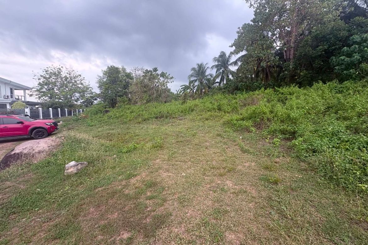 Land for Sale in Tunga-Tunga, Dauin, Negros Oriental – photo 6