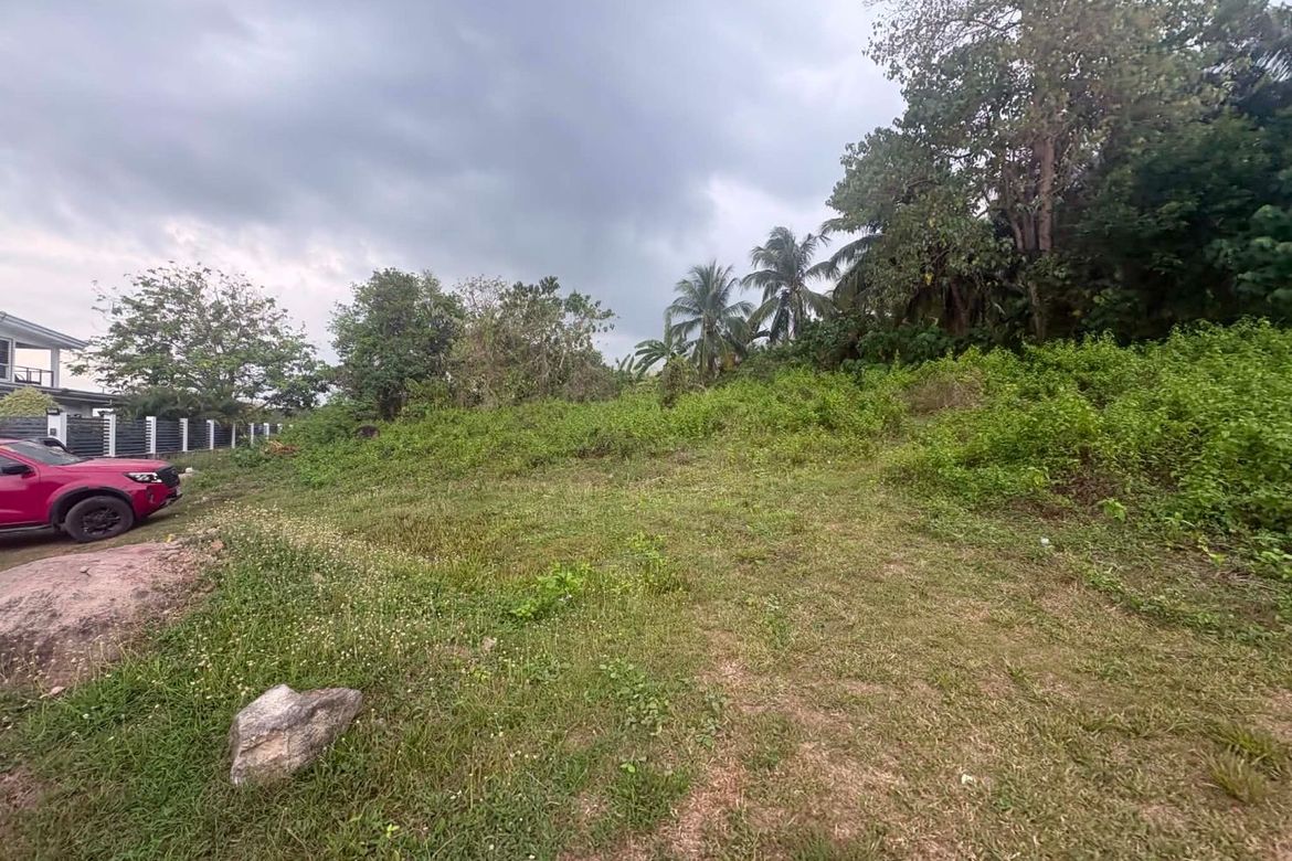 Land for Sale in Tunga-Tunga, Dauin, Negros Oriental – photo 8