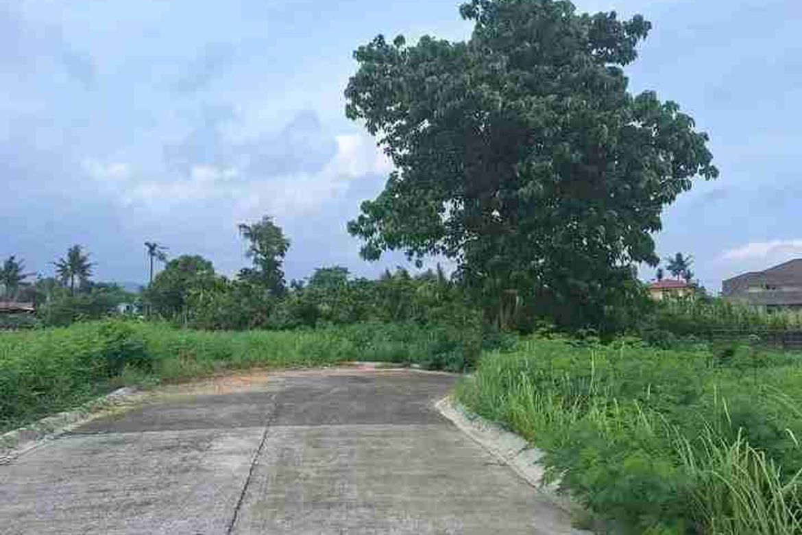 Land for Sale in Tungkil, Minglanilla, Cebu
