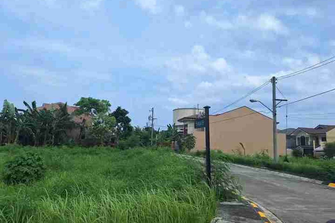 Land for Sale in Tungkil, Minglanilla, Cebu – photo 4