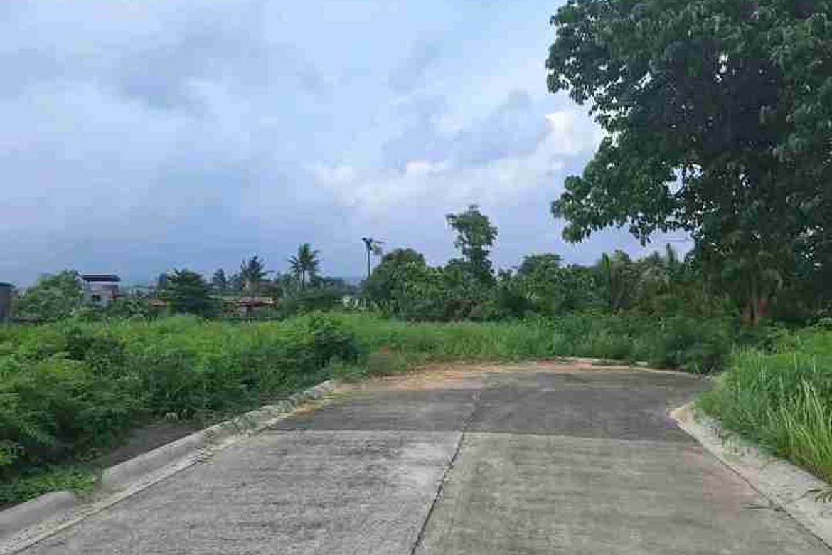 Land for Sale in Tungkil, Minglanilla, Cebu – photo 5