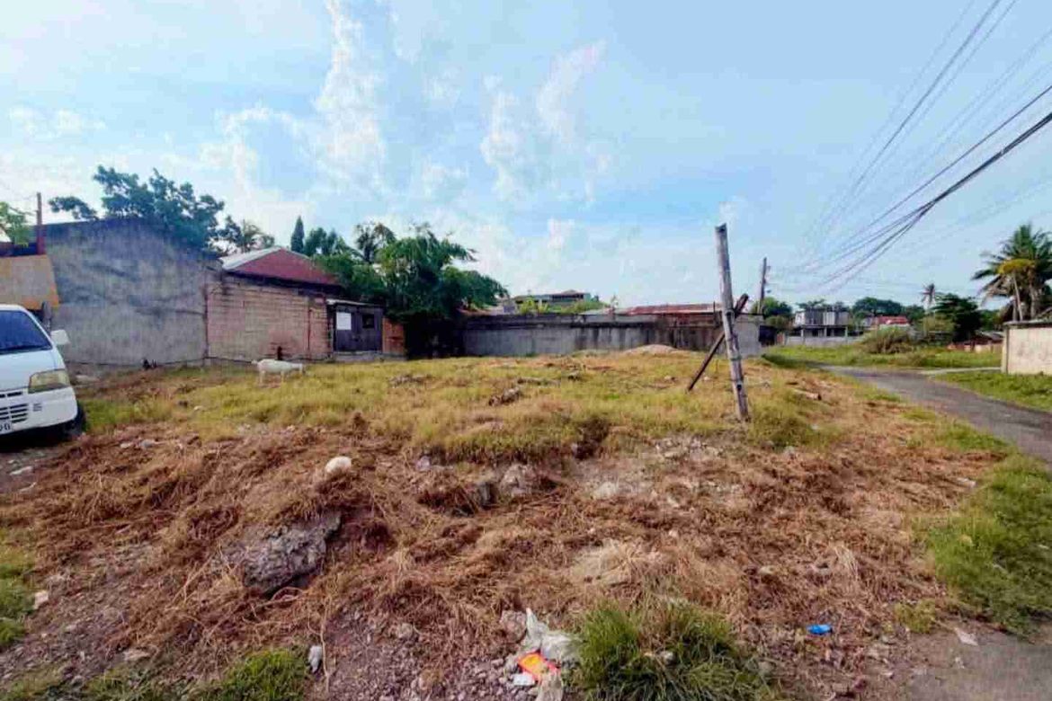 Land for Sale in Tungkil, Minglanilla, Cebu – photo 3