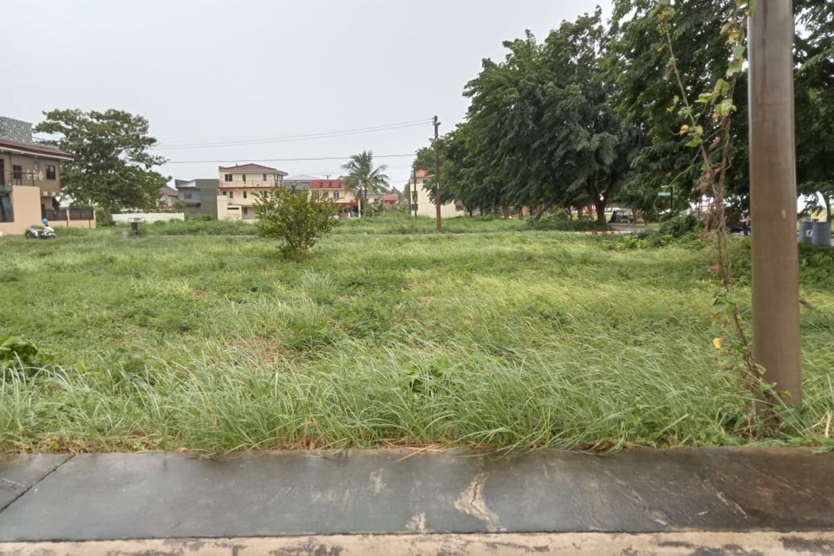 Land for Sale in Tungkil, Minglanilla, Cebu