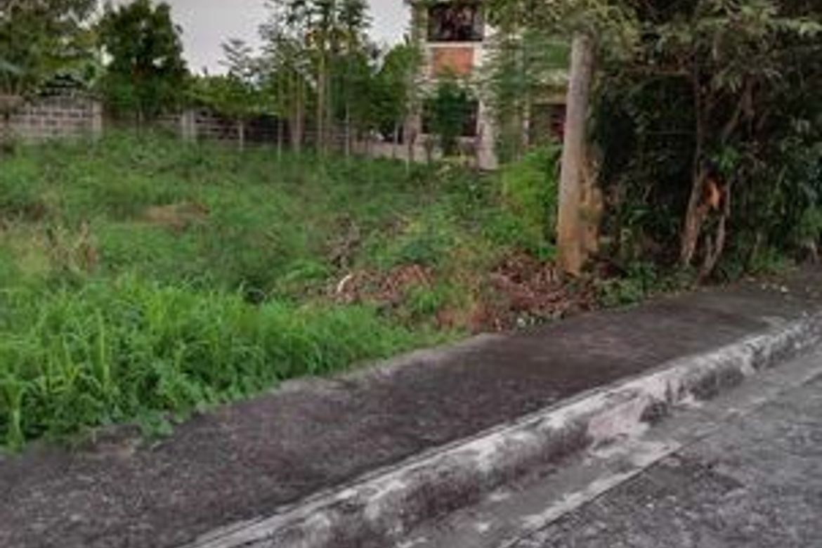 Land for Sale in Tungkil, Minglanilla, Cebu