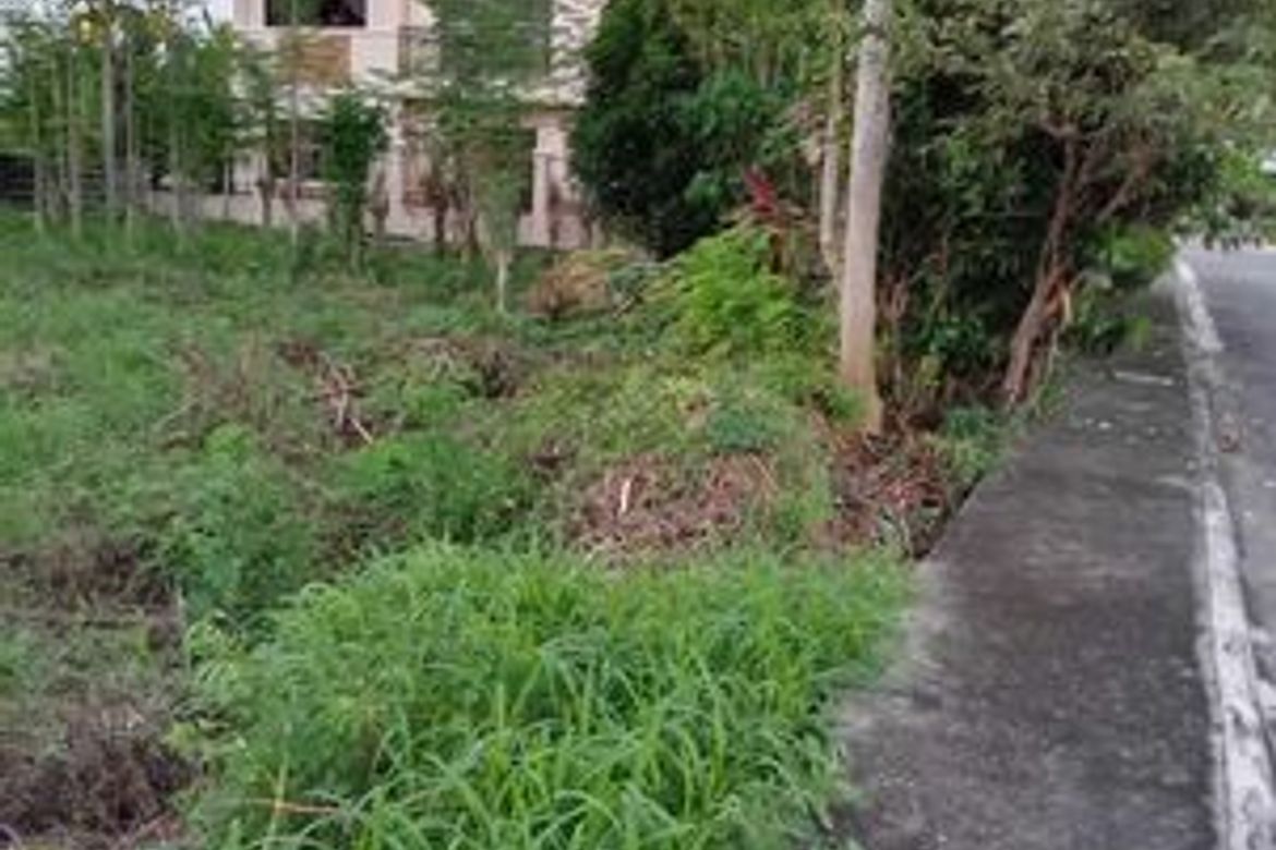 Land for Sale in Tungkil, Minglanilla, Cebu – photo 3