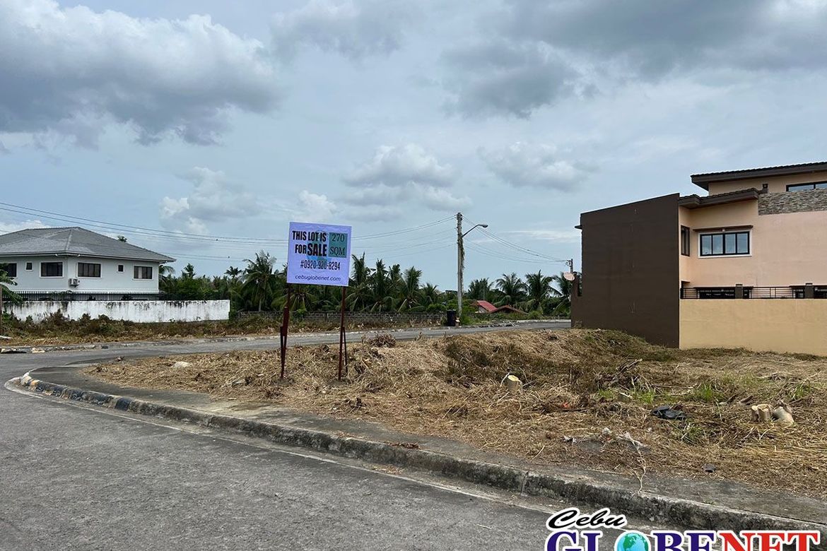 Land for Sale in Tungkil, Minglanilla, Cebu – photo 2