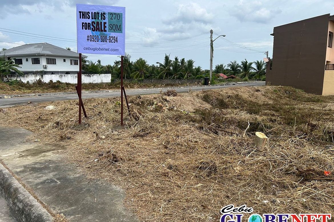 Land for Sale in Tungkil, Minglanilla, Cebu – photo 4