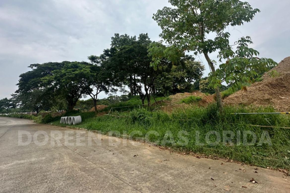 Land for Sale in Tungkong Mangga, San Jose del Monte, Bulacan – photo 5