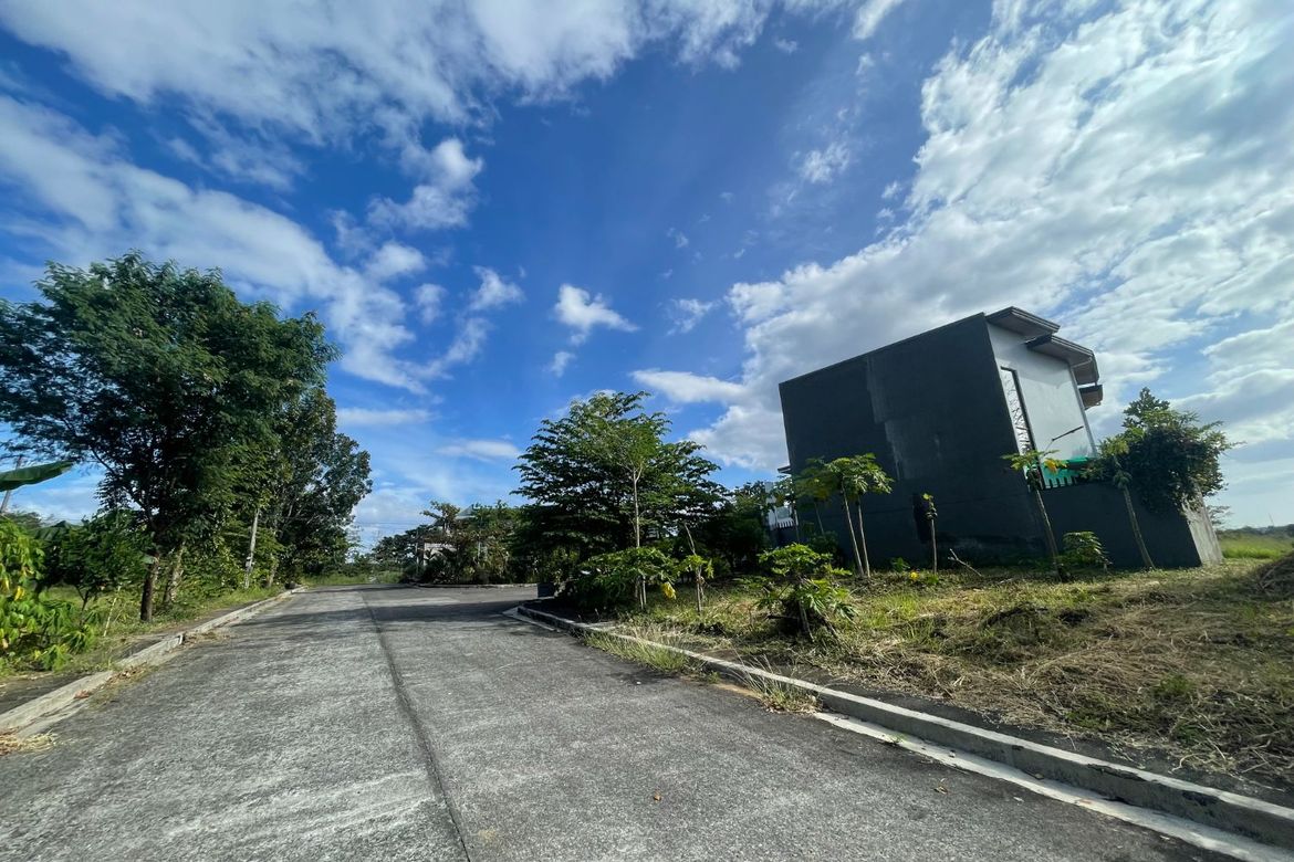 Land for Sale in Tungkong Mangga, San Jose del Monte, Bulacan – photo 2