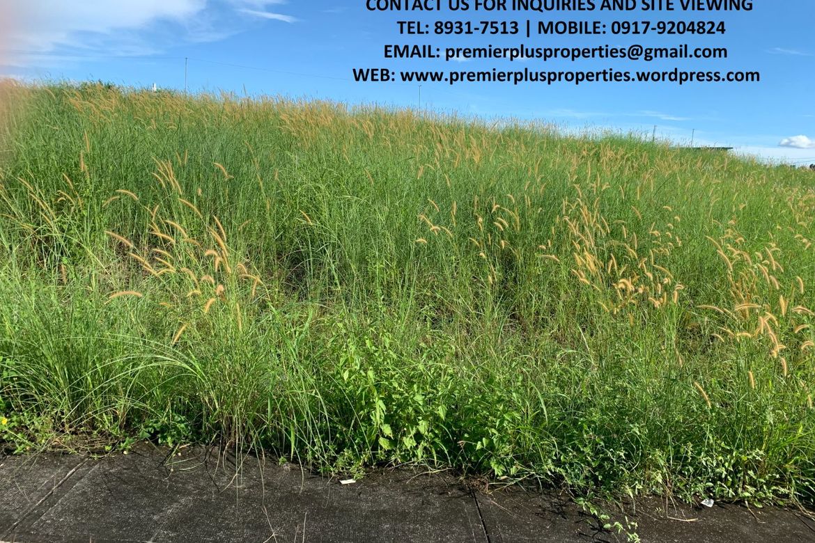 Land for Sale in Tungkong Mangga, San Jose del Monte, Bulacan – photo 2