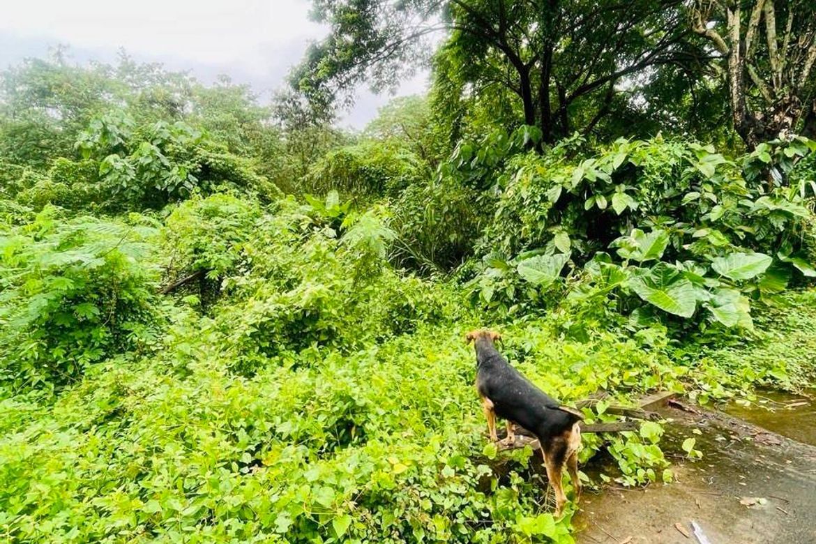 Land for Sale in Tungkong Mangga, San Jose del Monte, Bulacan – photo 6