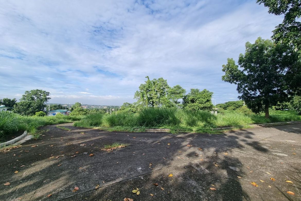Land for Sale in Tungkong Mangga, San Jose del Monte, Bulacan – photo 7