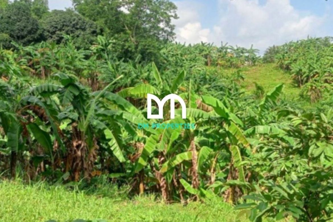 Land for Sale in Tungkong Mangga, San Jose del Monte, Bulacan – photo 3