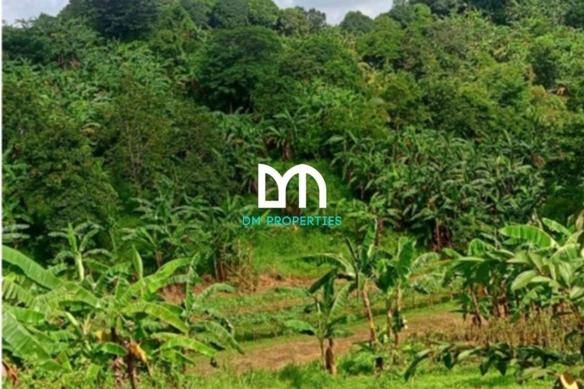 Land for Sale in Tungkong Mangga, San Jose del Monte, Bulacan – photo 4