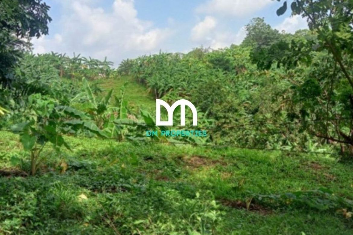 Land for Sale in Tungkong Mangga, San Jose del Monte, Bulacan – photo 5