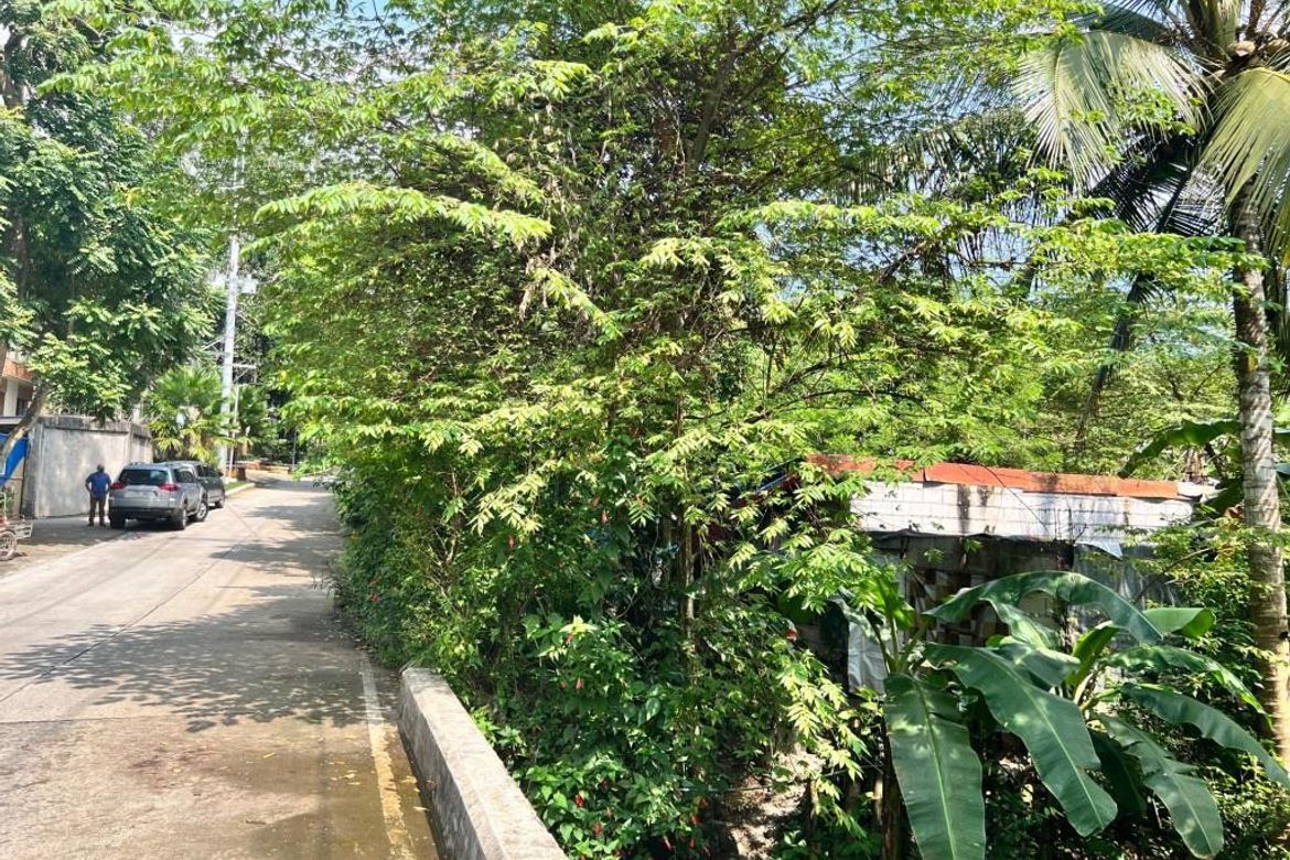 Land for Sale in Tungkong Mangga, San Jose del Monte, Bulacan – photo 3