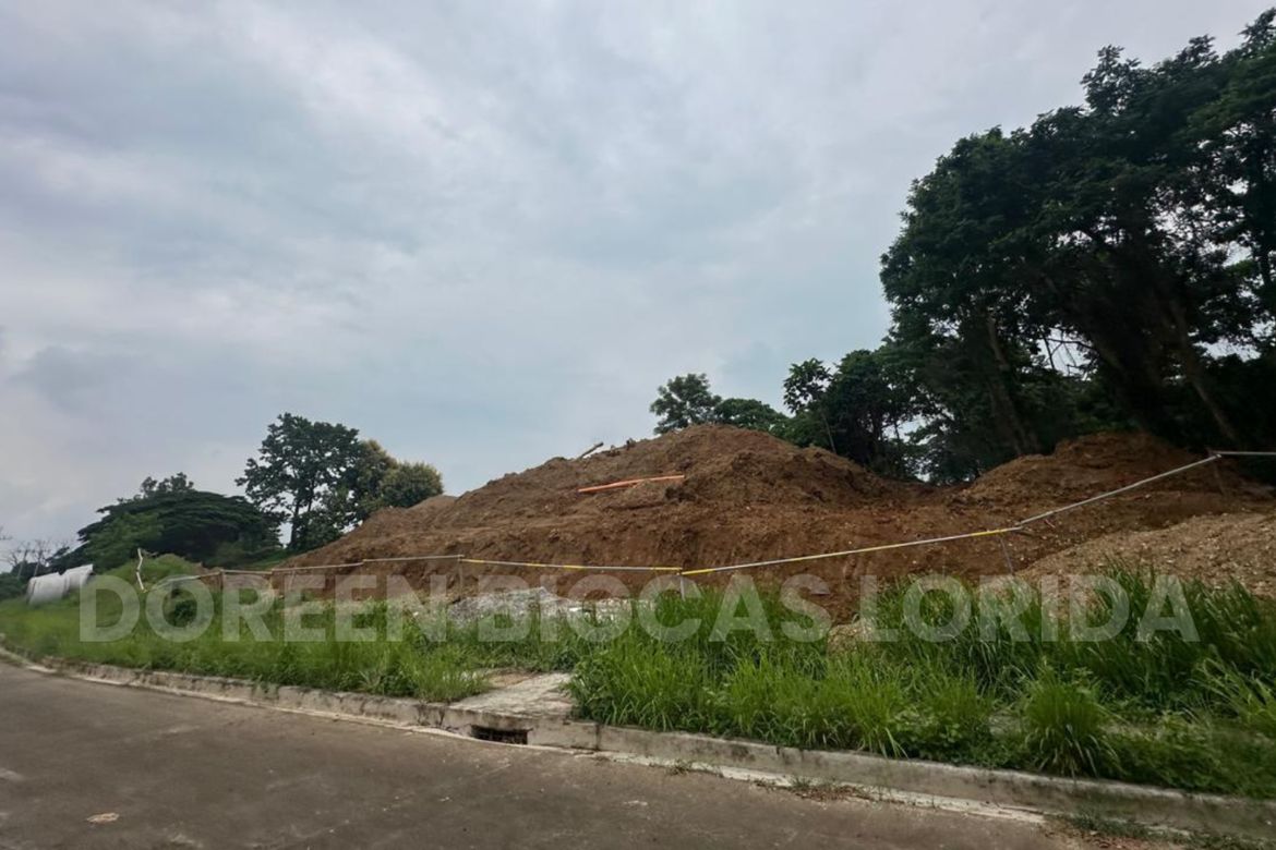 Land for Sale in Tungkong Mangga, San Jose del Monte, Bulacan – photo 3