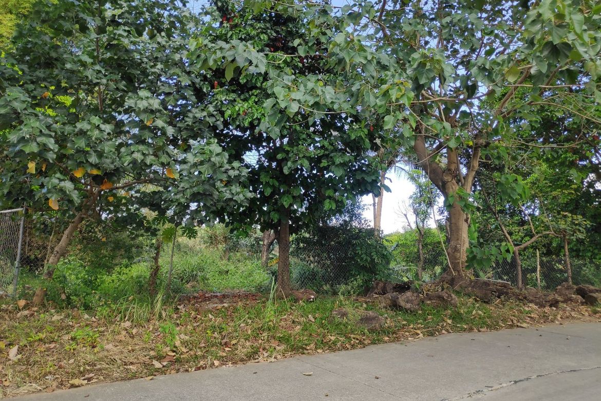 Land for Sale in Tungkong Mangga, San Jose del Monte, Bulacan – photo 4