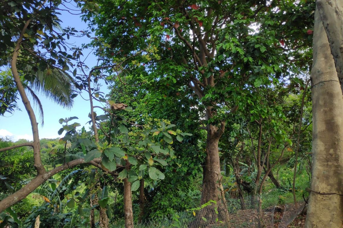 Land for Sale in Tungkong Mangga, San Jose del Monte, Bulacan – photo 6