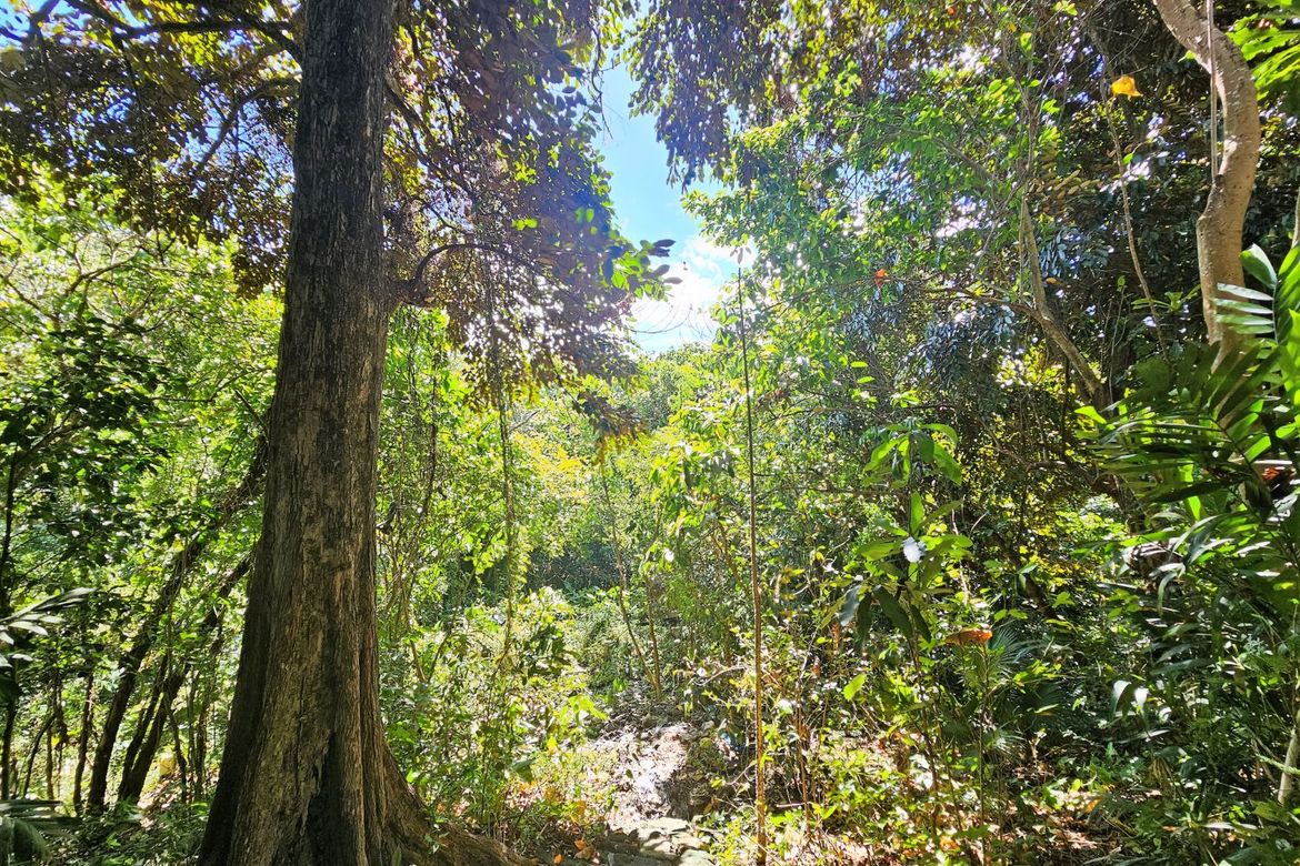 Land for Sale in Tungkong Mangga, San Jose del Monte, Bulacan – photo 5