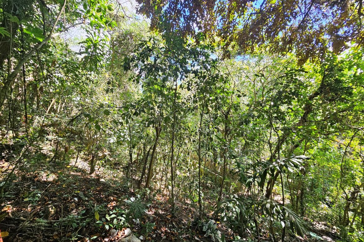 Land for Sale in Tungkong Mangga, San Jose del Monte, Bulacan – photo 6