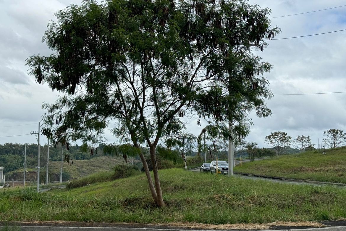 Land for Sale in Tungkong Mangga, San Jose del Monte, Bulacan – photo 6