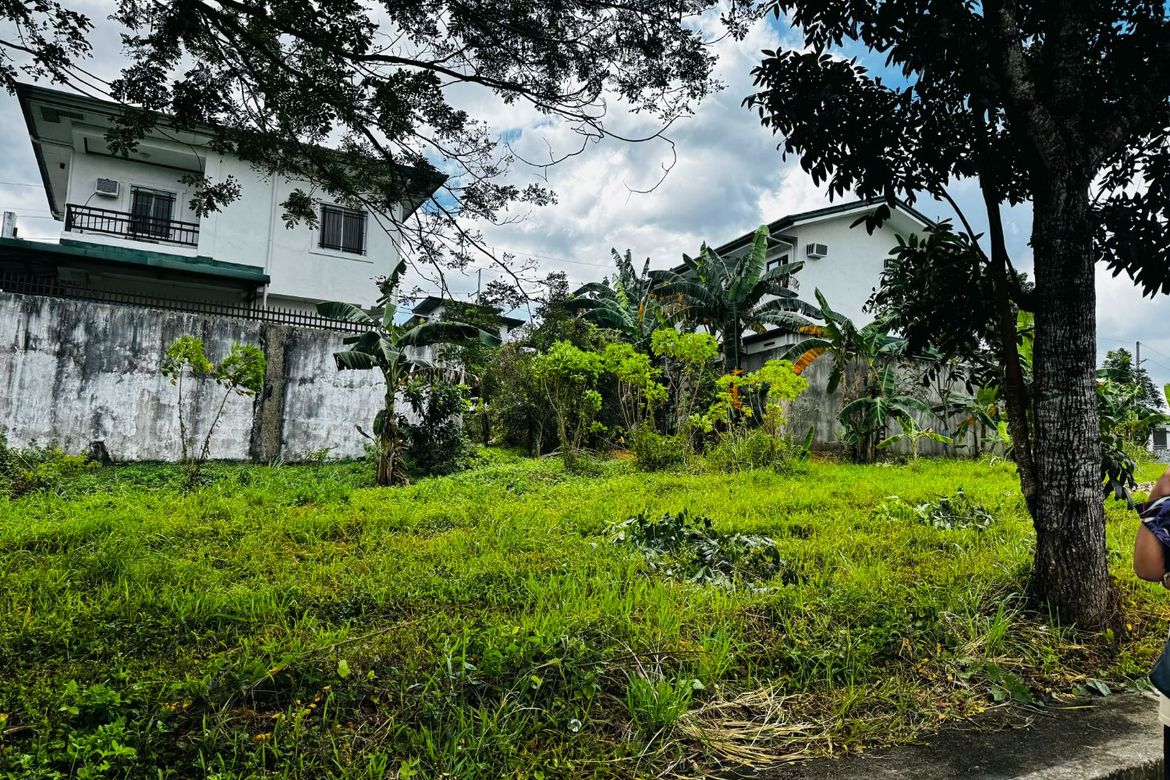 Land for Sale in Tungkong Mangga, San Jose del Monte, Bulacan – photo 2