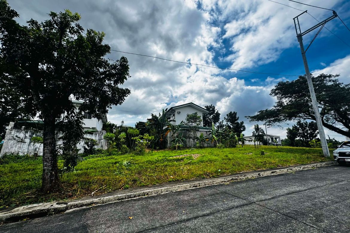Land for Sale in Tungkong Mangga, San Jose del Monte, Bulacan – photo 3