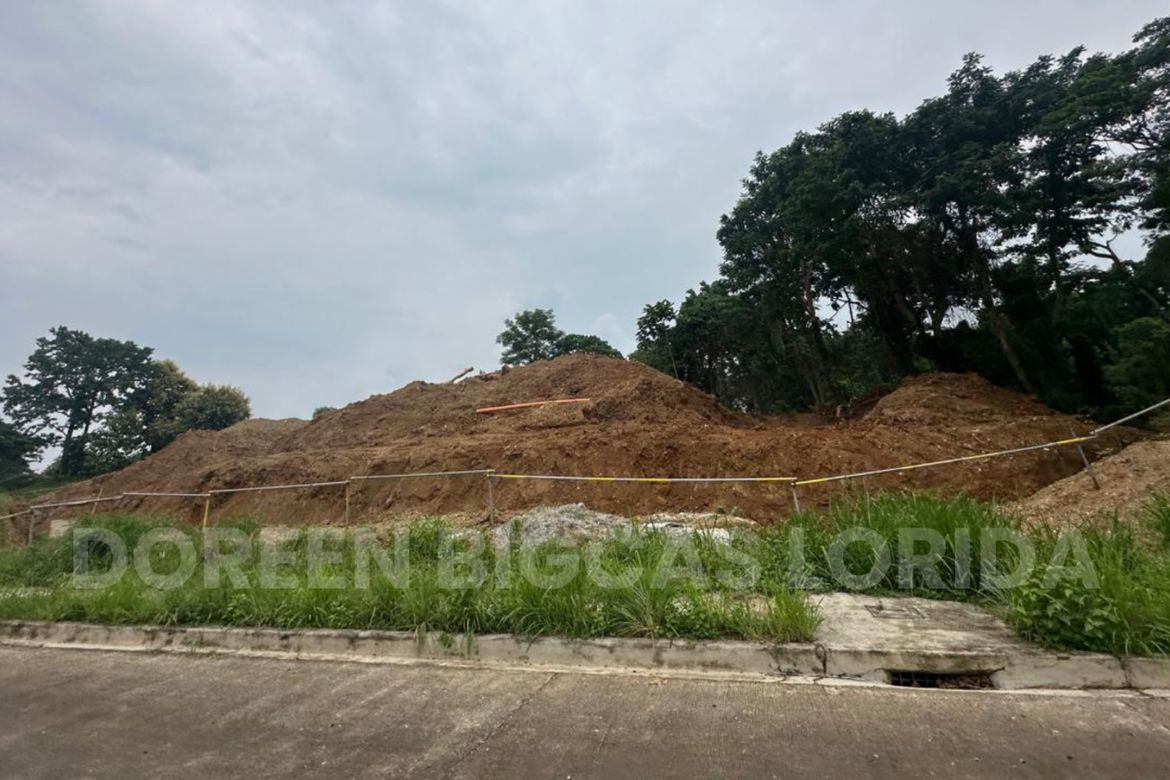 Land for Sale in Tungkong Mangga, San Jose del Monte, Bulacan – photo 3