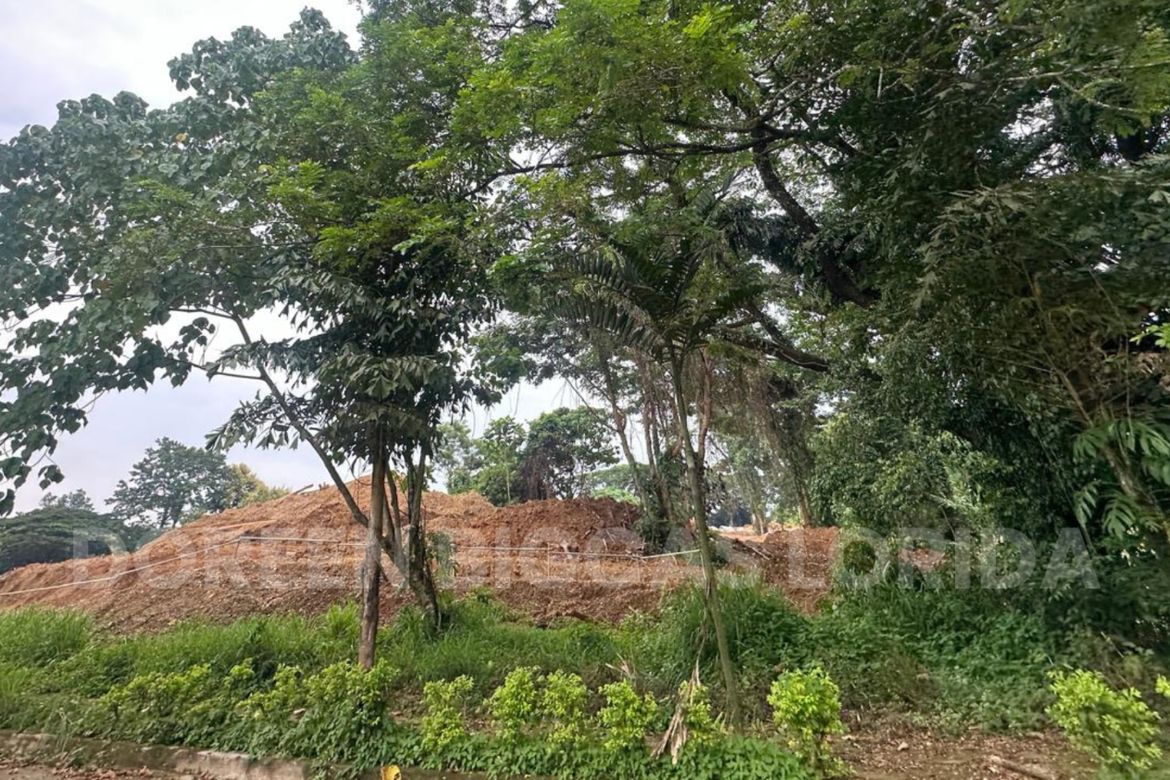 Land for Sale in Tungkong Mangga, San Jose del Monte, Bulacan – photo 7