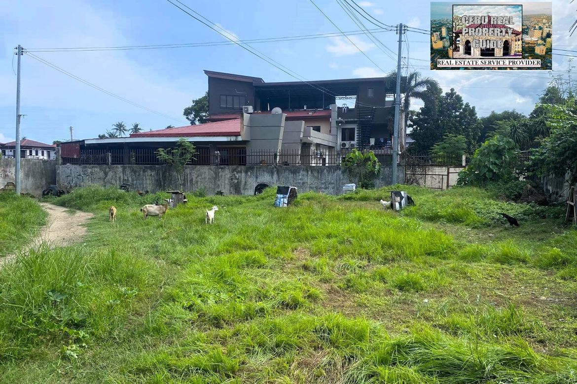 Land for Sale in Tungkop, Minglanilla, Cebu