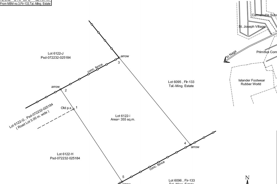 Land for Sale in Tungkop, Minglanilla, Cebu – photo 3