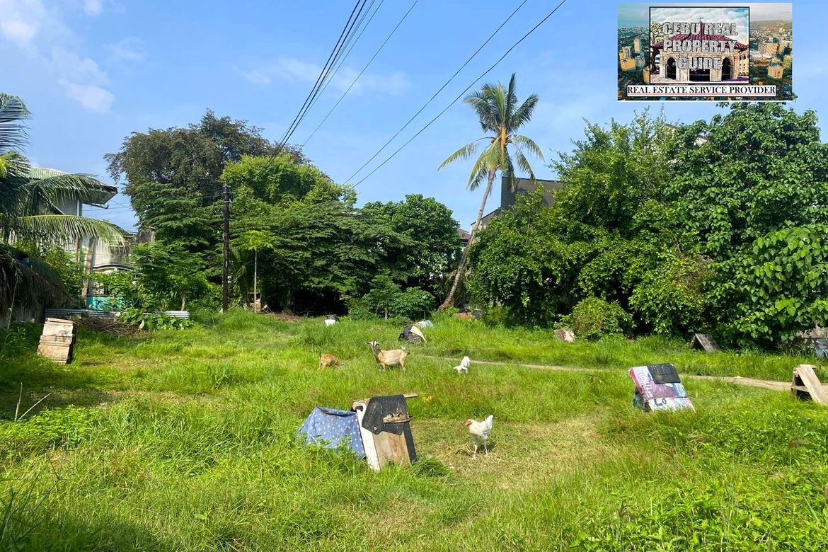Land for Sale in Tungkop, Minglanilla, Cebu – photo 4