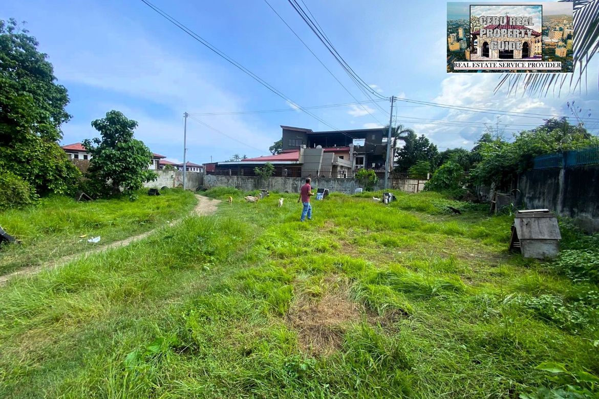 Land for Sale in Tungkop, Minglanilla, Cebu – photo 5