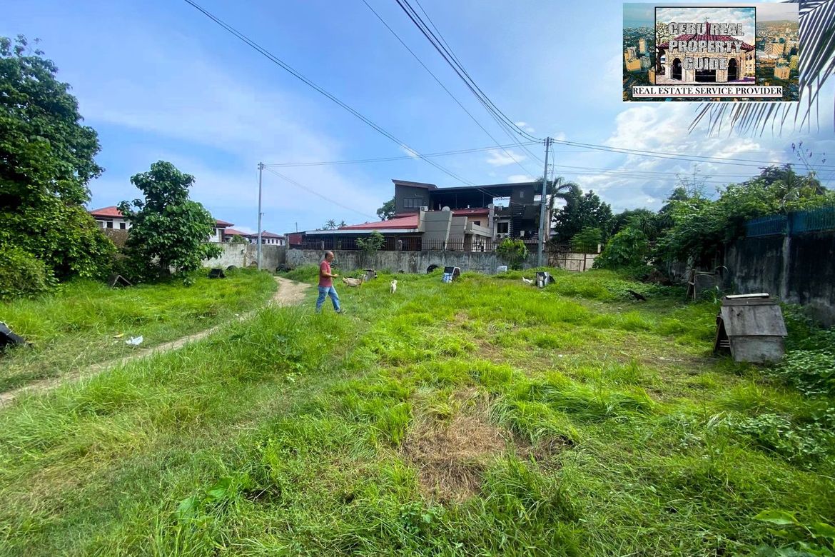 Land for Sale in Tungkop, Minglanilla, Cebu – photo 8