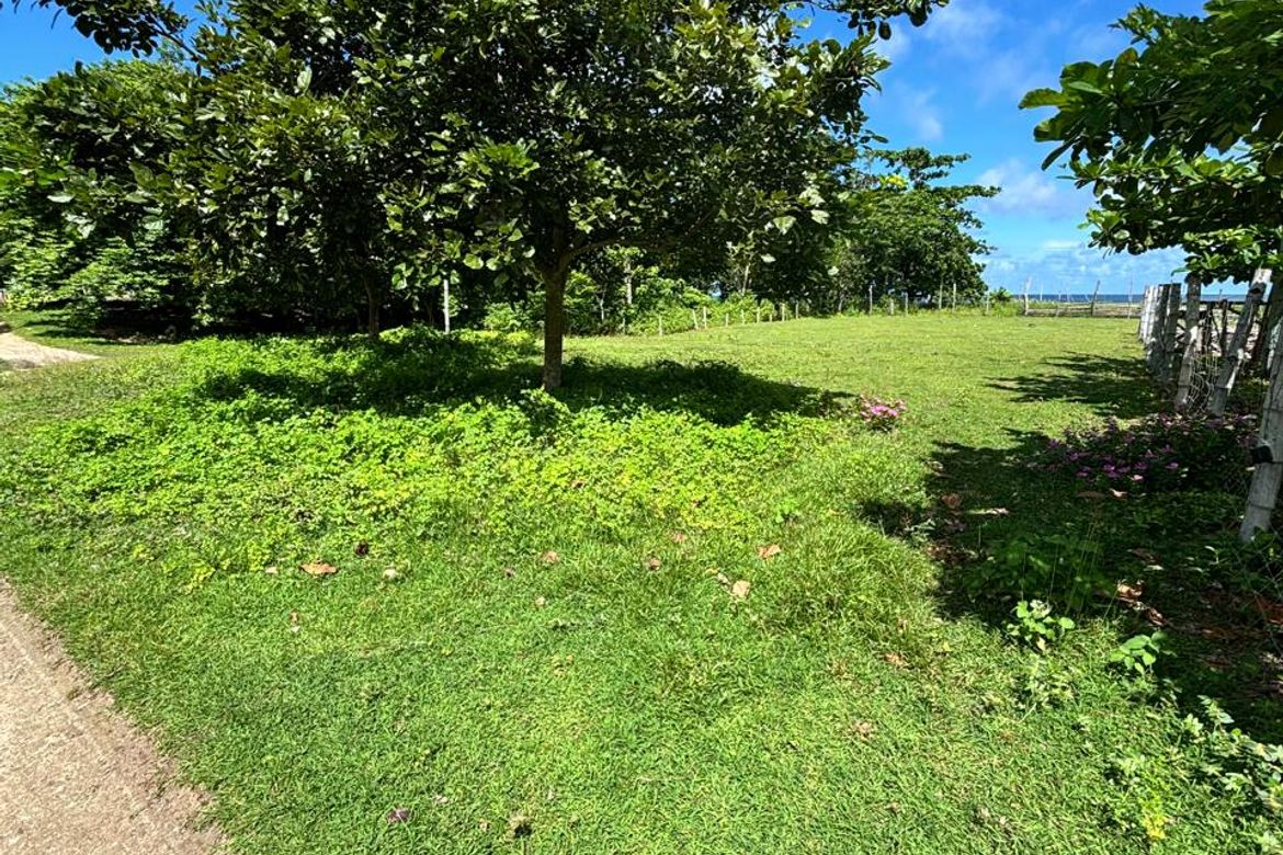 Land for Sale in Tupa, Agno, Pangasinan – photo 6