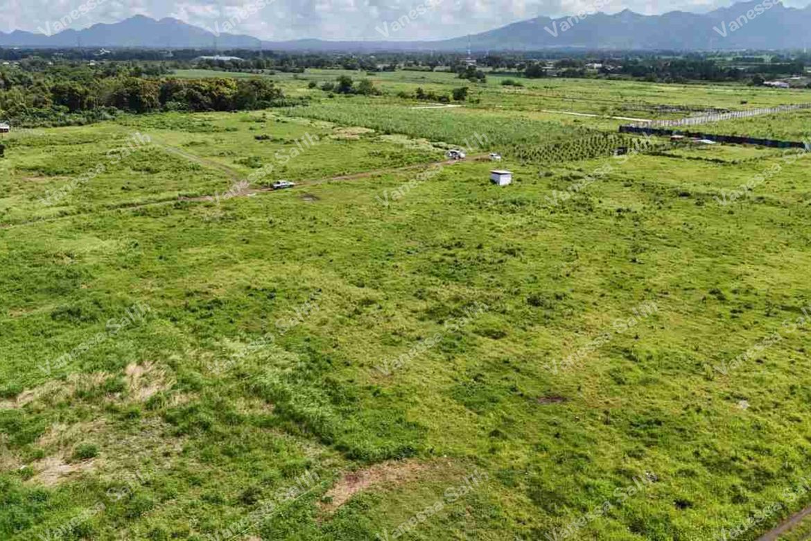 Land for Sale in Tuyon-Tuyon, Tuy, Batangas – photo 3