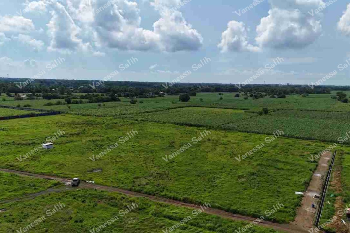 Land for Sale in Tuyon-Tuyon, Tuy, Batangas – photo 7