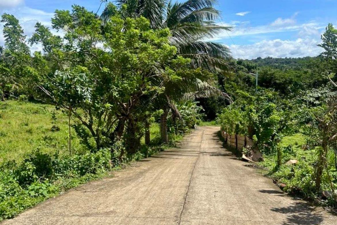 Land for Sale in Twin Lakes, Calaca, Batangas – photo 2