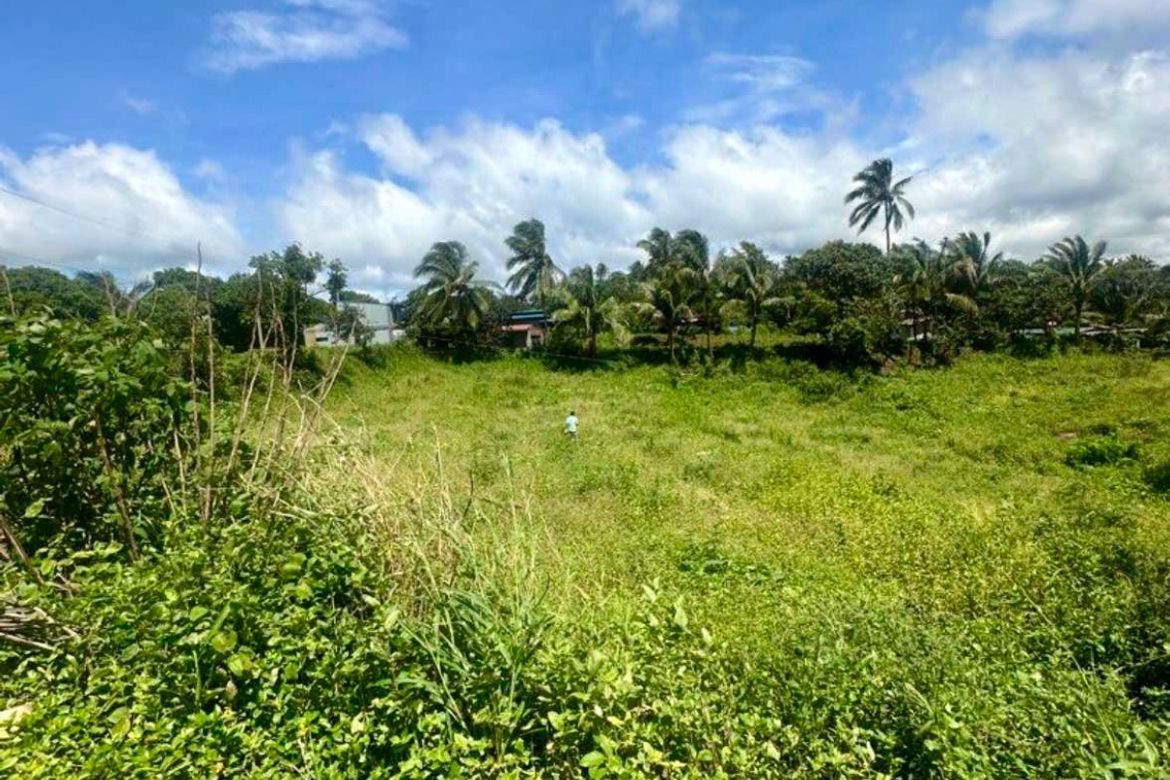 Land for Sale in Twin Lakes, Calaca, Batangas – photo 3