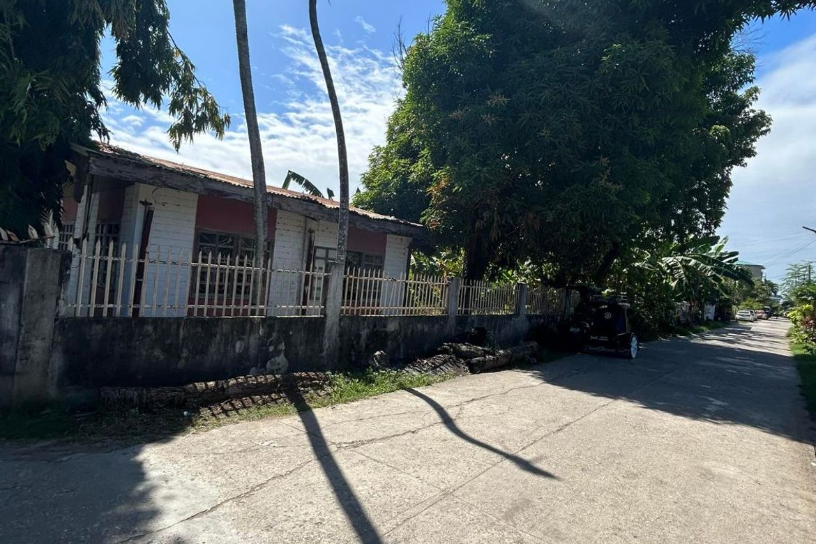 Land for Sale in Ubaub, Argao, Cebu – photo 4