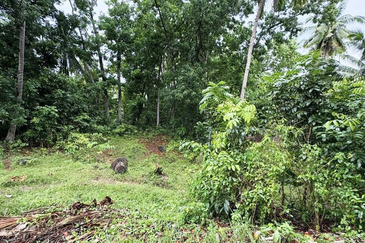 Land for Sale in Ubaub, Argao, Cebu – photo 2