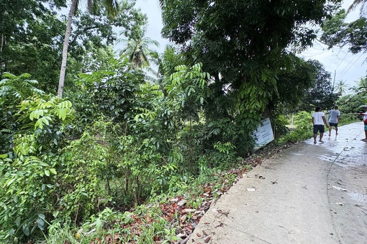 Land for Sale in Ubaub, Argao, Cebu – photo 3