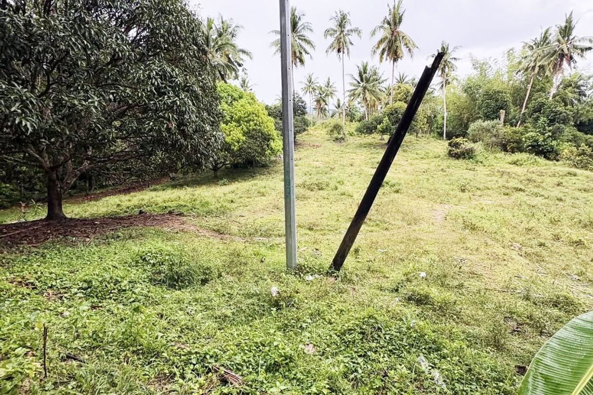 Land for Sale in Ubaub, Argao, Cebu – photo 8