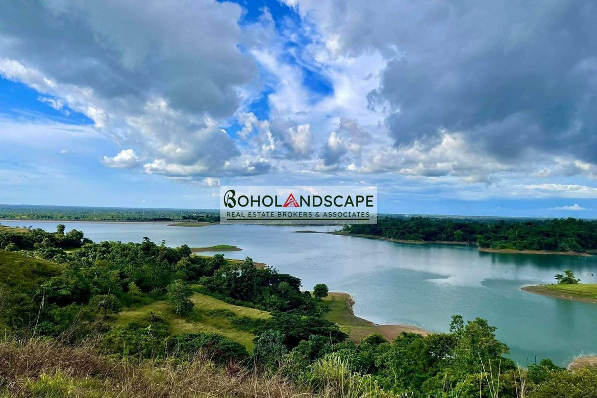 Land for Sale in Ubay, Bohol – photo 2
