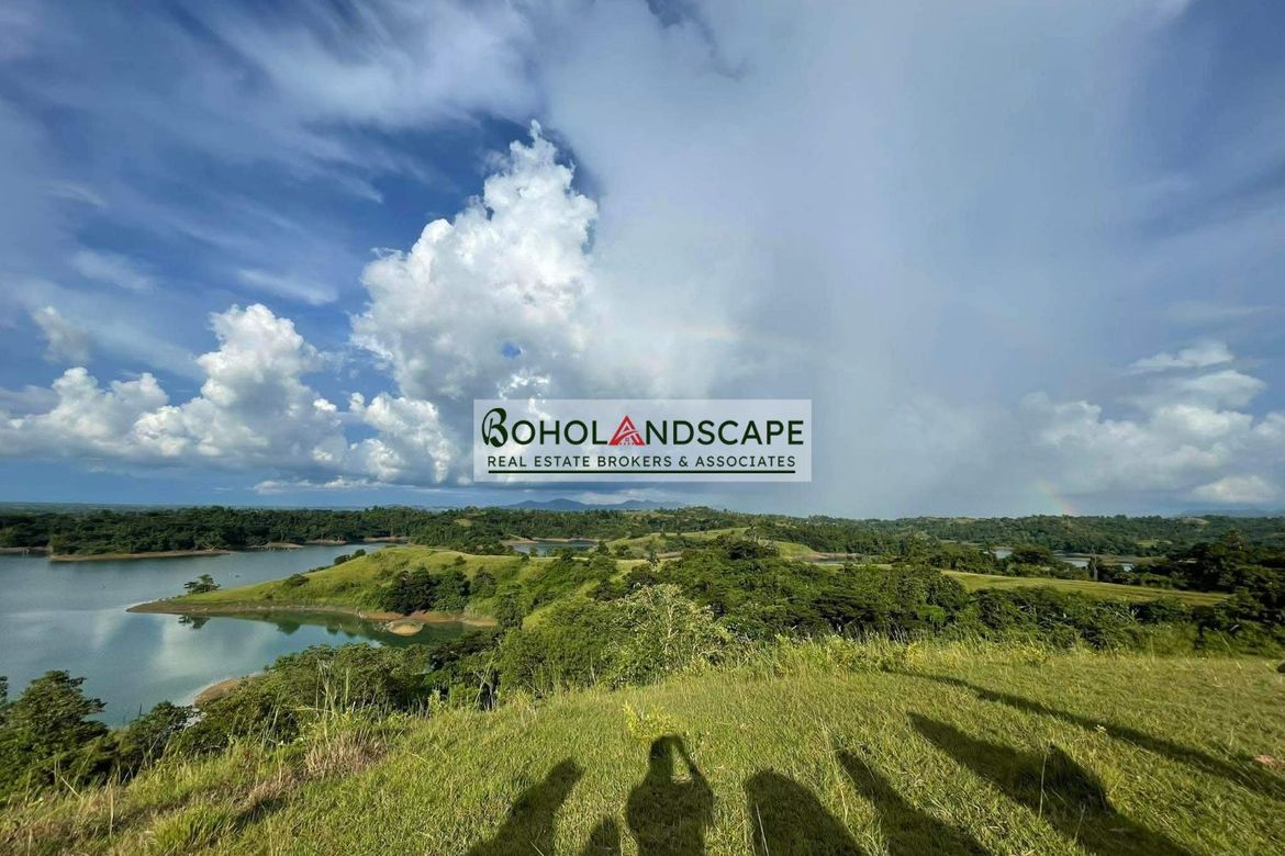 Land for Sale in Ubay, Bohol – photo 3