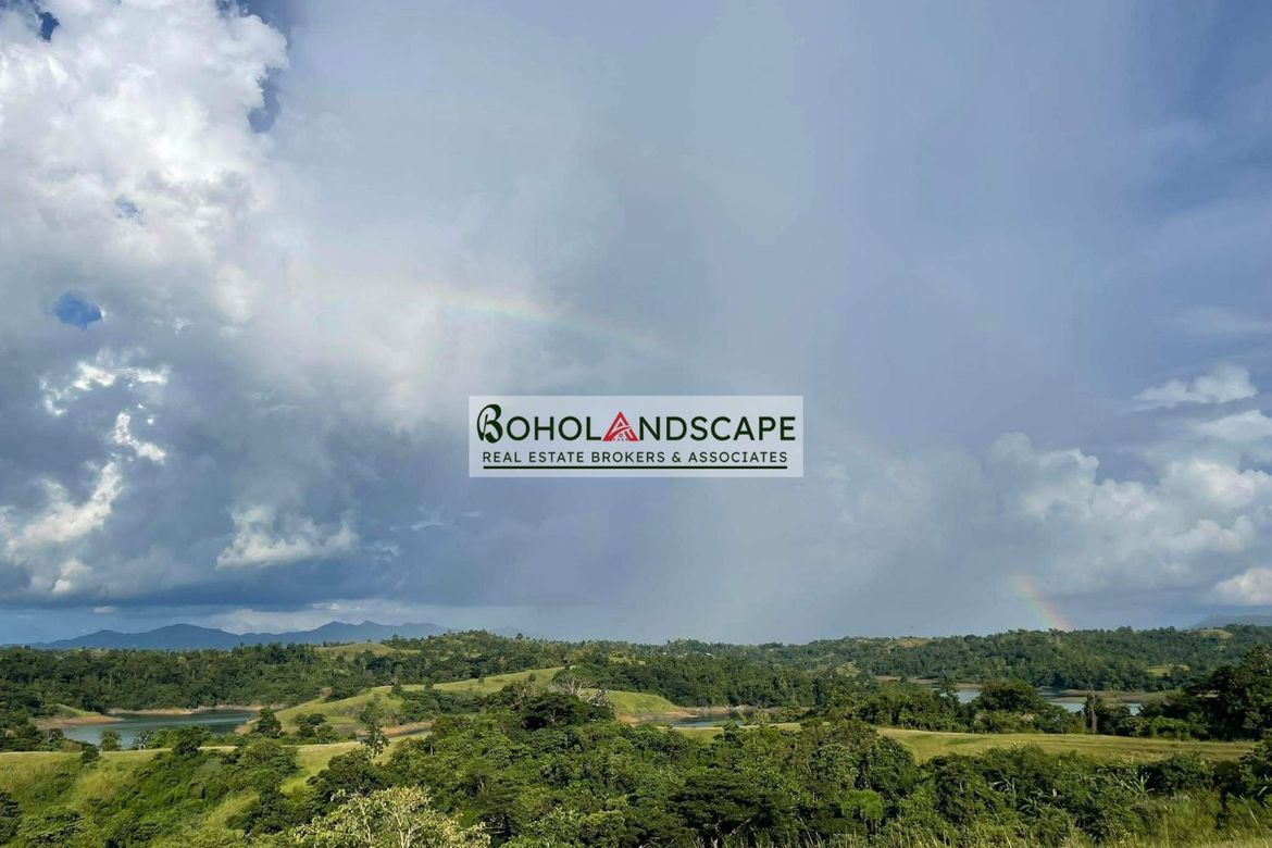 Land for Sale in Ubay, Bohol – photo 4