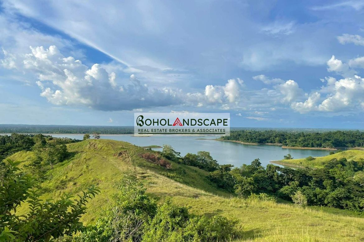 Land for Sale in Ubay, Bohol – photo 8