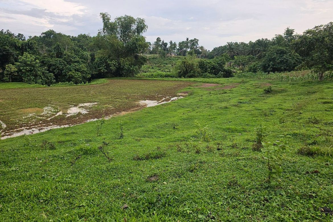 Land for Sale in Ubay, Bohol – photo 3