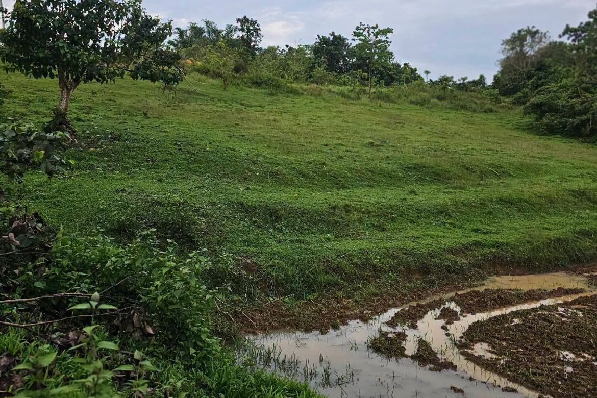 Land for Sale in Ubay, Bohol – photo 4